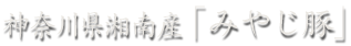 神奈川県湘南産