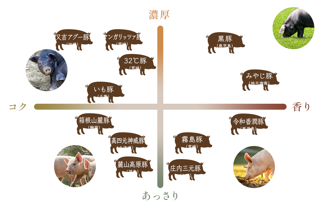 日本地図